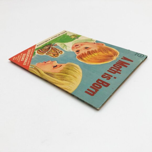 A Moth is Born by Herbert Walker 1967 Hardback - Picture 4 of 8